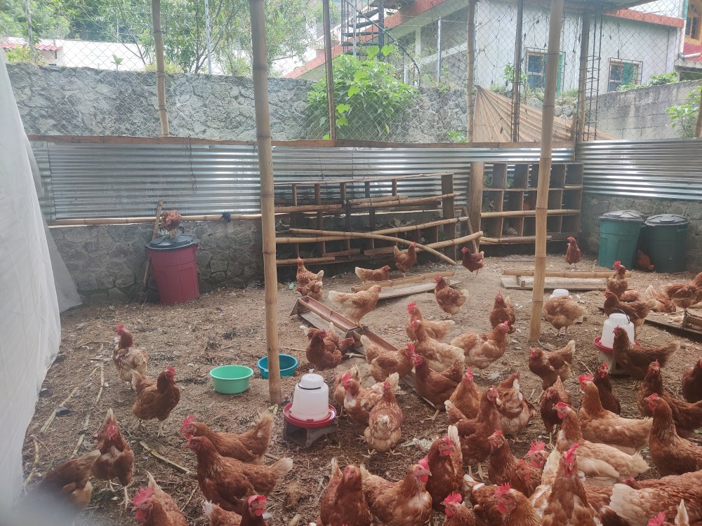 Los Amigos de Santa Cruz - Women empowerment program