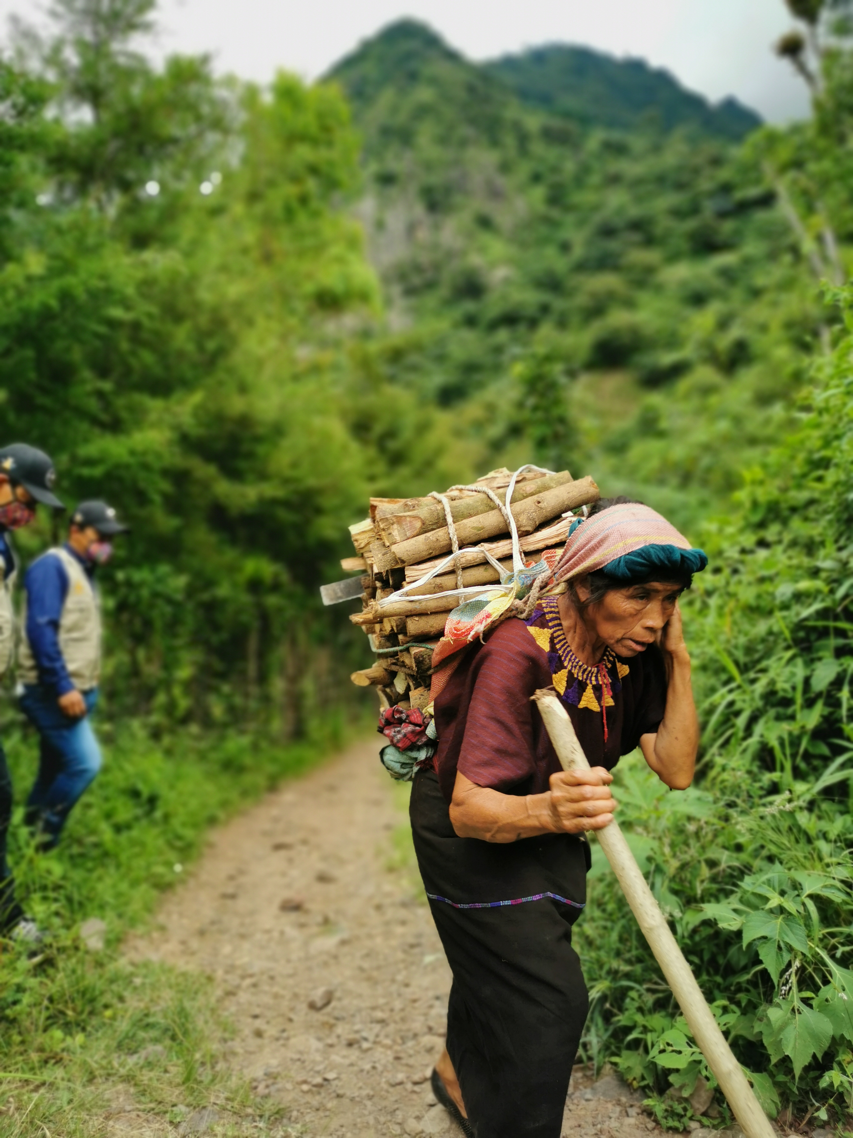 Wood Collection Guatemala